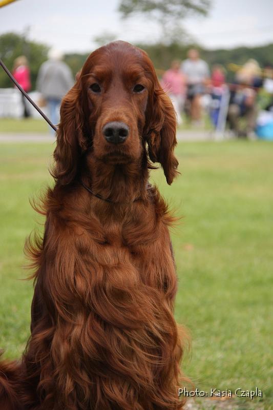 Copper's Champagne On Ice At Aoibheanne (10).jpg